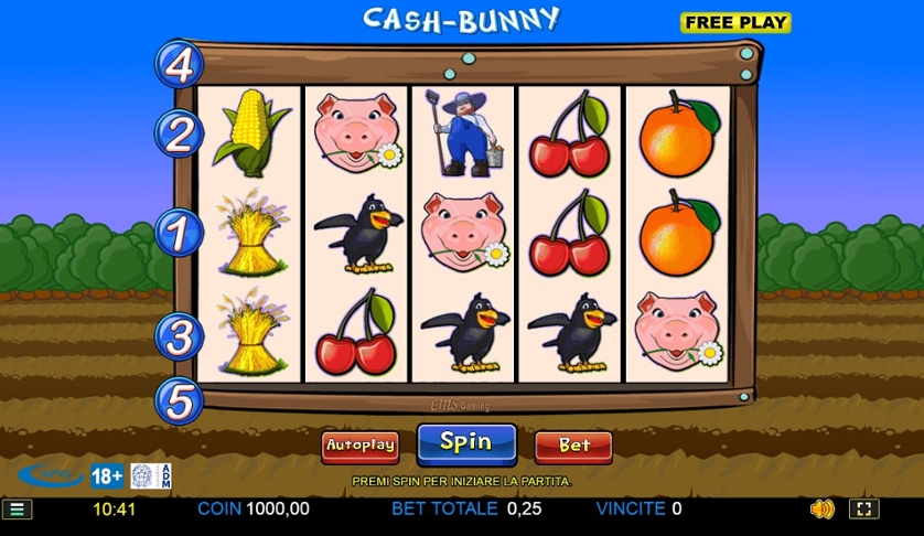 Cash Bunny.jpg