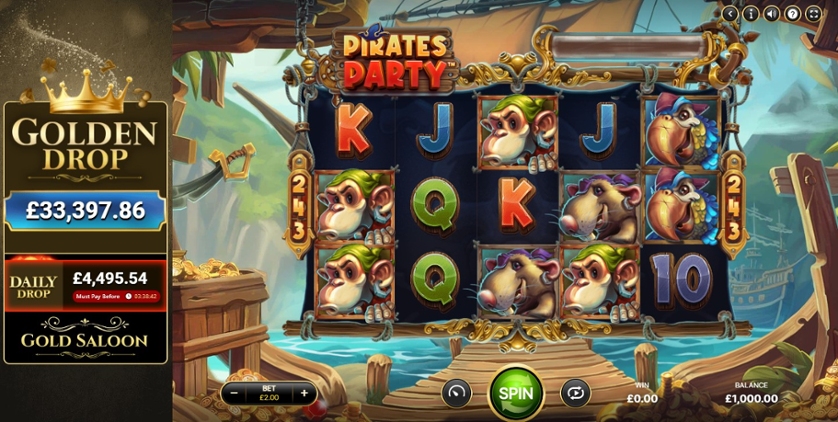 Pirates Party.jpg