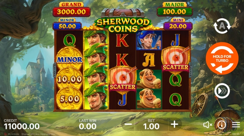 Sherwood Coins Hold and Win.jpg