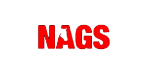 NagsBet Casino Logo