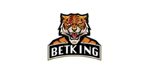 BETKING Casino Logo