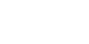 Winsane Casino Logo