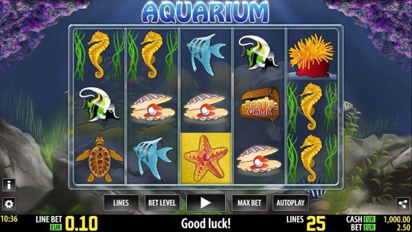 Aquarium.jpg