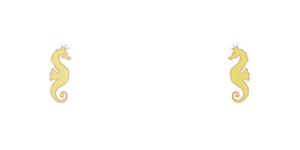 Spielbank Cruise Logo