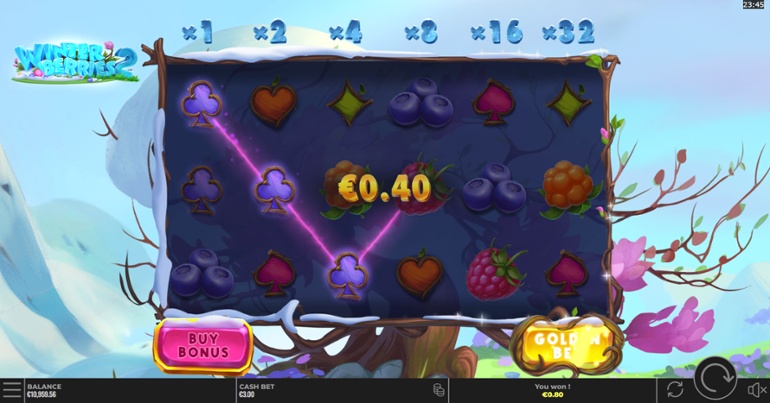 Winter Berries 2 Slot Win