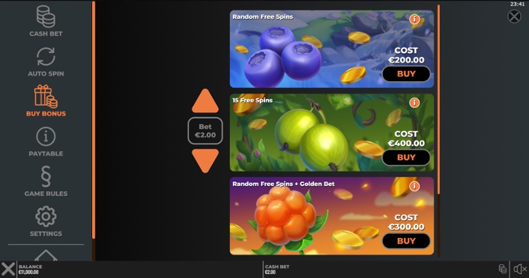 Winter Berries 2 Buy Spins Options