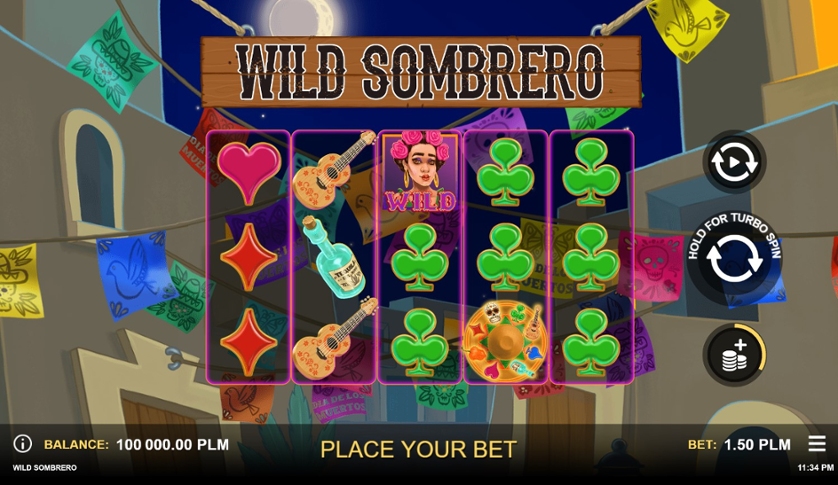 Wild Sombrero.jpg