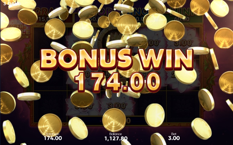 Tiger Jungle - Bonus Feature total win