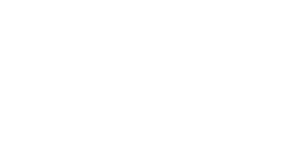 Wild Spins Casino Logo