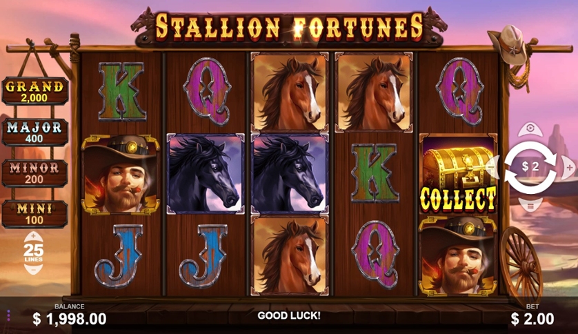 Stallion Fortunes.jpg