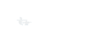 JinoBet Casino Logo