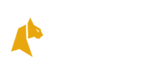 Felix Spin Casino Logo