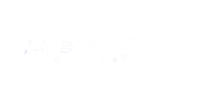 Betcity.net Casino Logo